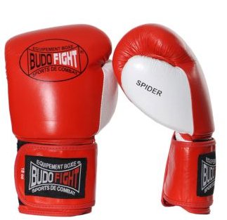 Budo gants