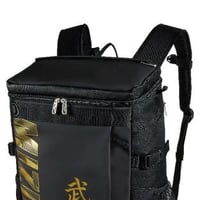 Mizuno budo zloty